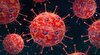 ویروس کرونای ۱۴۰۳ با موج کوچک می‌آید/ زیر سویه فلیرت چه ویژگی‌هایی دارد؟