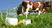 تولید دارو‌های مبتنی بر آر ان‌ای از شیر گاو