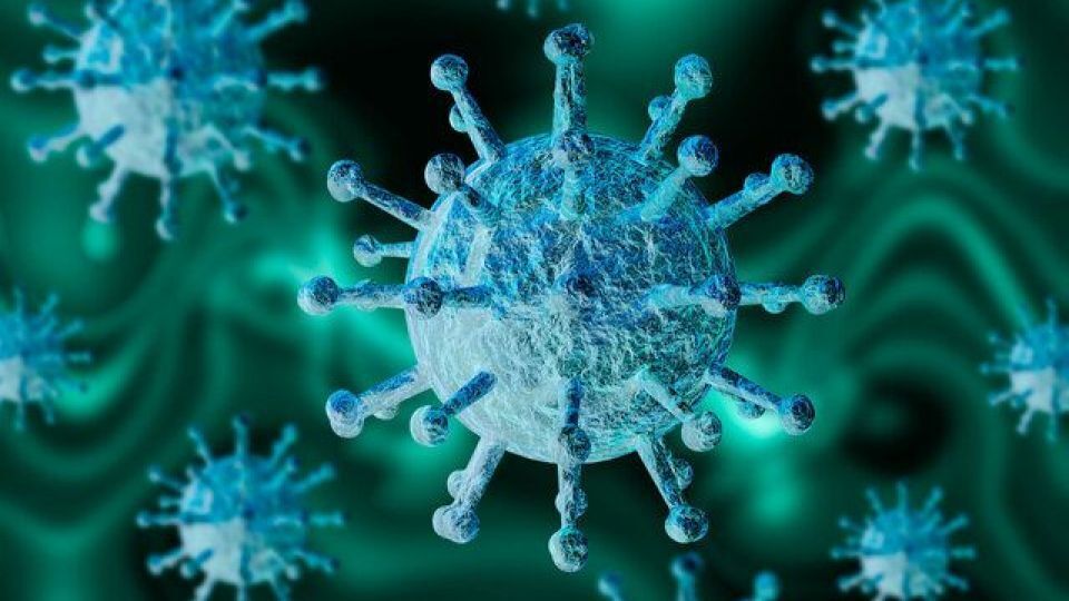 دومین ویروس ترکیبی کرونا با قابلیت انتقال بیشتر ظهور کرد