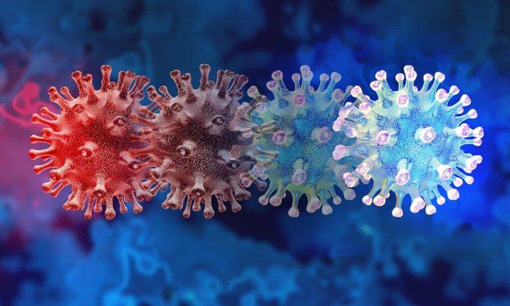 سویه جدید ویروس کرونا در کمتر از ۶ ماه می تواند ظهور کند
