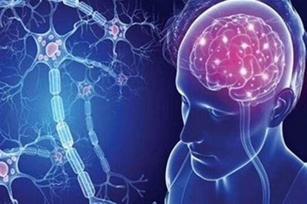 سلول های بنیادی بهتر از دارو بیماری ام اس را کُند می کند