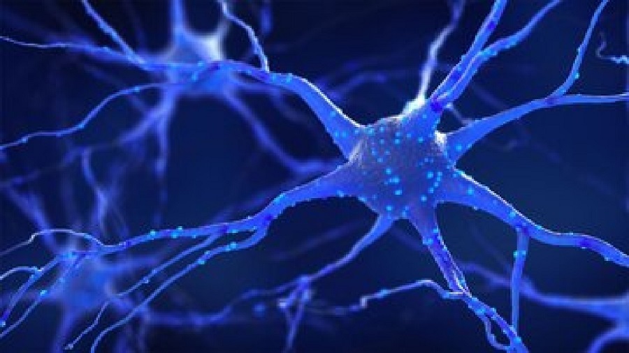 ترمیم سلولهای عصبی با نانو ذرات مغناطیسی
