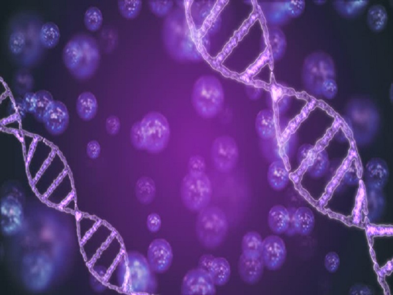 آثار سرطان در سه نسل بعدی فرد قلیانی/  نقش ژنتیک در سرطان ها