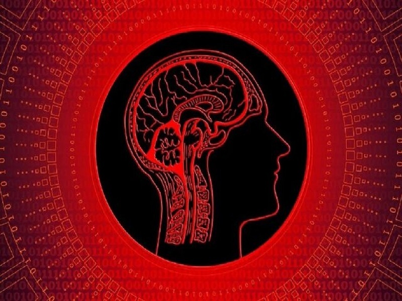 بویایی میتواند به تشخیص خطر کمک کند!