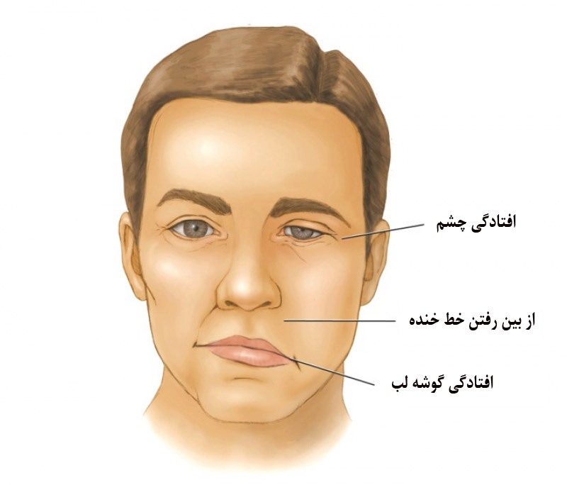 ۵ حقیقت در مورد