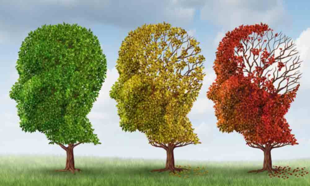 ارتباط میزان بالای آنتی اکسیدان خون با ریسک کمتر زوال عقل