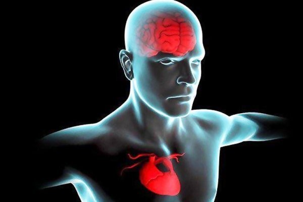 مشکلات قلبی ریسک زوال عقل را سه برابر افزایش می دهد