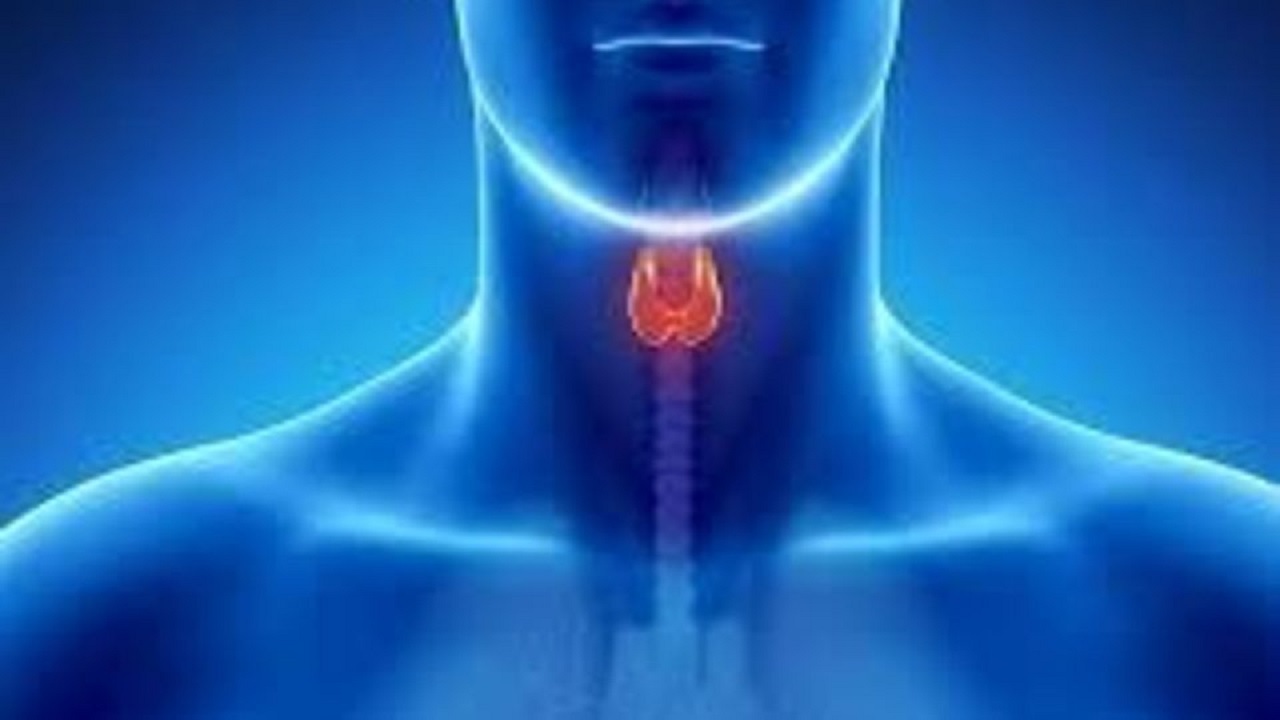 تاثیر تغذیه مناسب در حفظ سلامت بدن