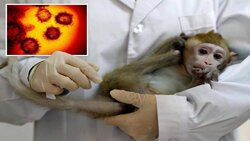 کشف دارویی ضدویروسی علیه آبله میمونی