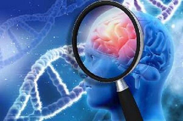 داروی «راپامایسین» پلاکهای مرتبط با آلزایمر را افزایش میدهد