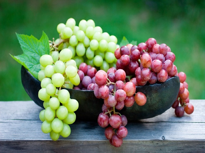 افزایش طول عمر با مصرف انگور