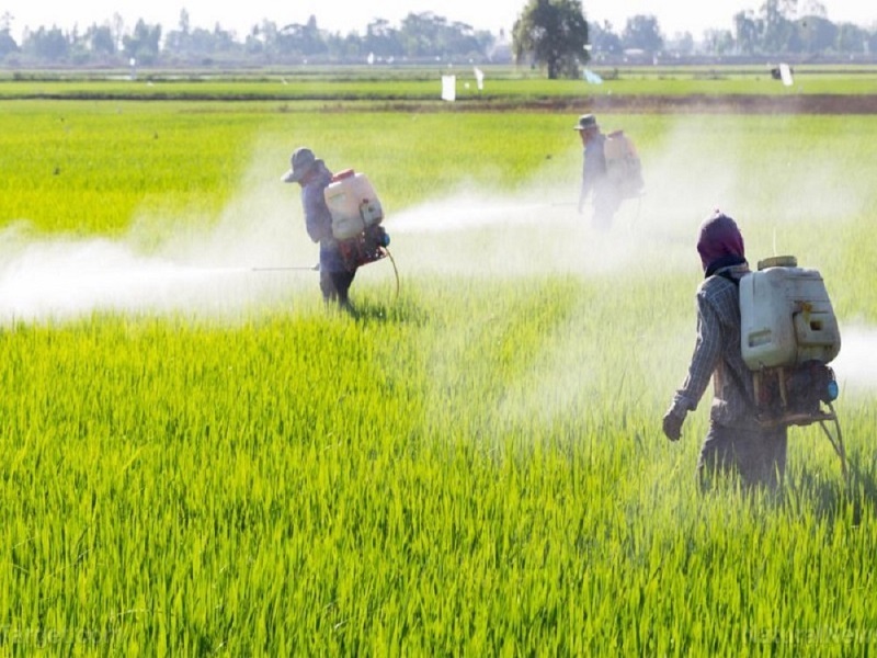 بین آفت کشها و بروز سرطان تیروئید ارتباط وجود دارد