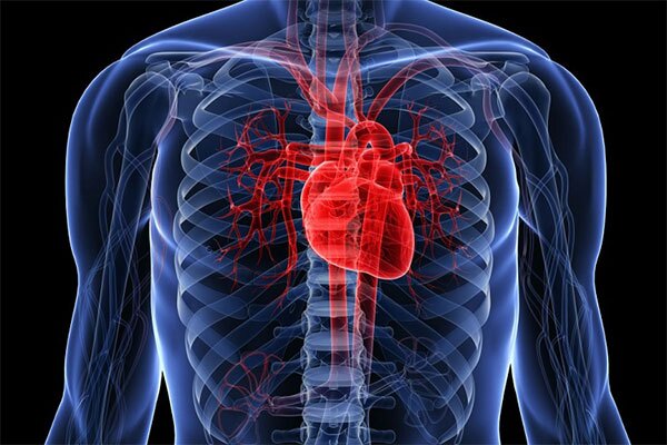 فاکتورهای پرخطر بیماری قلبی و افزایش خطر مرگ بیماران کرونایی