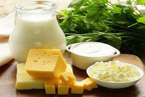 پروبیوتیک ها در کاهش استرس موثرند