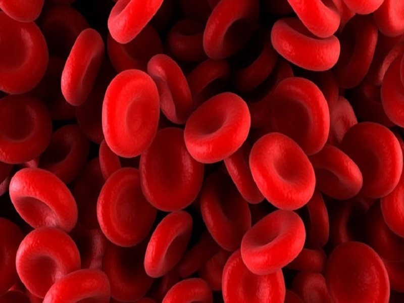 خدمات درمانی بیمه شدگان مبتلا به تالاسمی از پوشش خارج نشده است