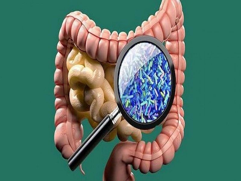 باکتری های روده در ابتلا به افسردگی نقش دارند