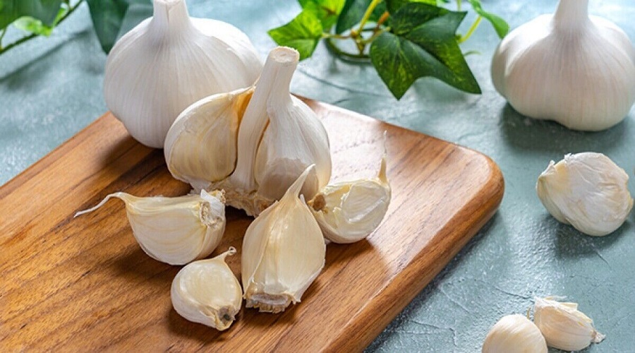 از خواص معجزه آسای سیر برای سلامتی غافل نشوید