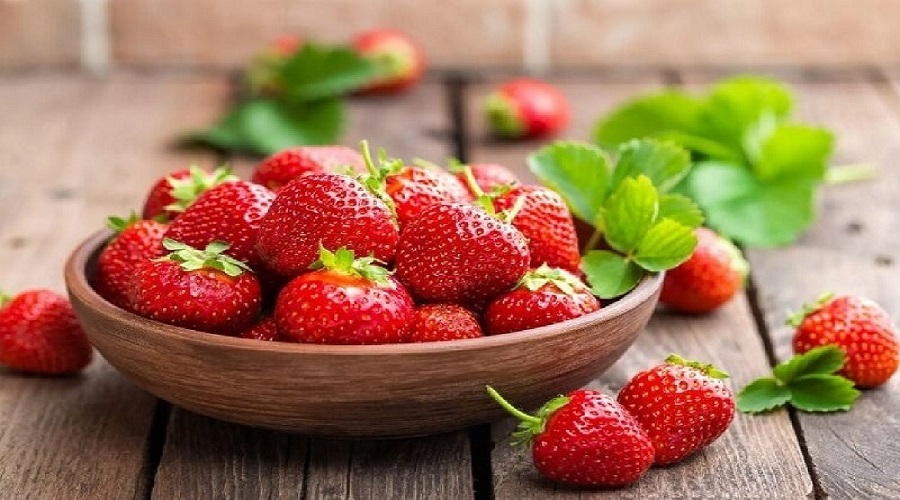 تولید توت فرنگیهایی با قابلیت مقاومت در برابر بیماریهای قارچی