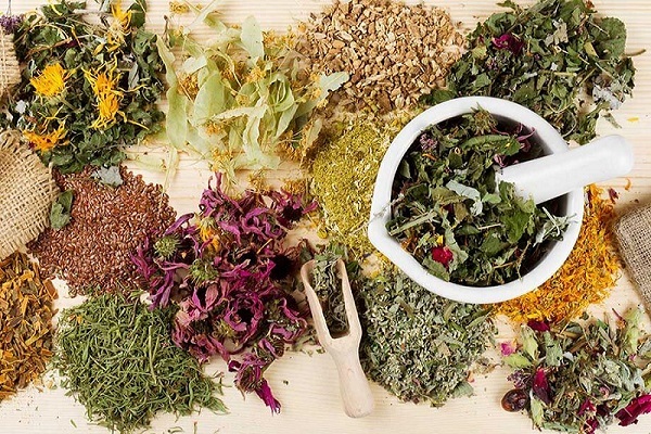 پایه گذاری طب سنتی کشور بر مبنای دانش