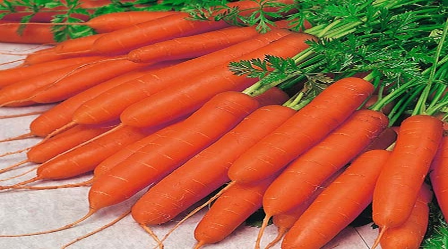 با این میوه به راحتی لاغر شوید