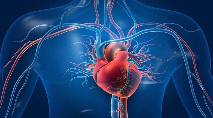 بیماری قلبی با خطر ۱۷ برابری اختلالات اسکلتی عضلانی مرتبط است