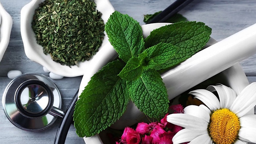 تصویب تشکیل دبیرخانه طب ایرانی در شورای عالی نظام پزشکی