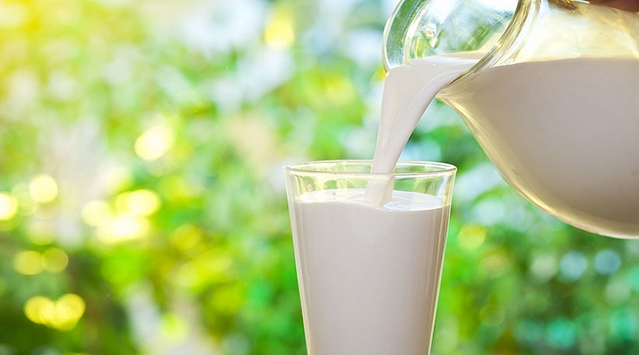 تبعات حذف لبنیات از سبد غذایی/ هزینه درمان ۱۰ برابر یارانه شیر