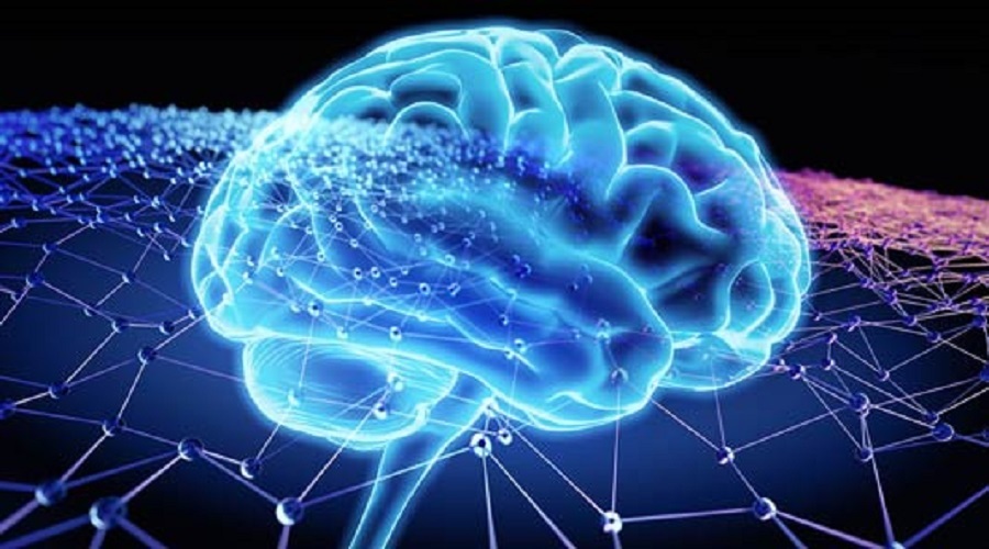 فعالیت های تحریک کننده مغز ریسک زوال عقل را کاهش می دهد