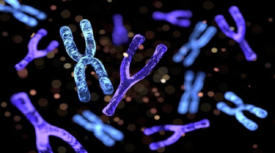 از دست دادن کروموزوم Y می تواند روند سرطان را در مردان تسریع کند