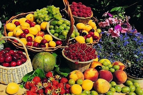 درباره خواص میوه های تابستانی چه می دانید؟