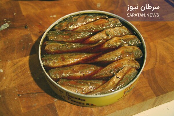مهم ترین علامت کنسروهای فاسد/ به ظاهر قوطی کنسرو توجه کنید تن ماهی فاسد