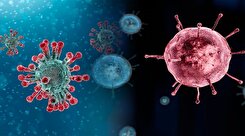 آنفولانزا در صدر بزرگترین بیماری‌های فراگیر جهان