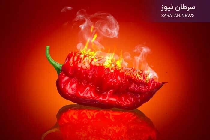 ادویههایی برای چربی سوزی و کاهش وزن فلفل تند برای لاغری