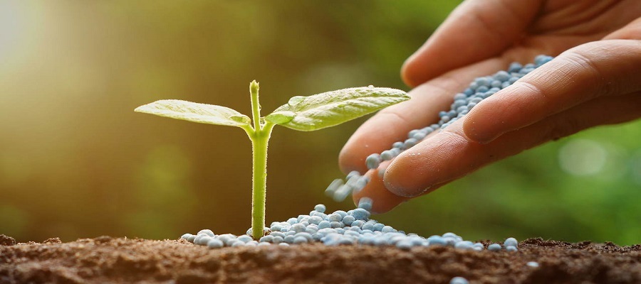 آیا کود شیمیایی سرطان زاست؟