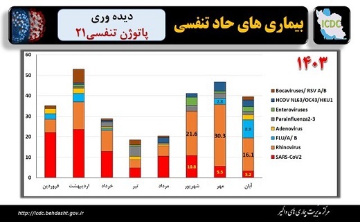 رینوویروسها، پیشتاز ویروسهای در گردش بیماریهای حاد تنفسی طی ماه گذشته رینوویروسها، پیشتاز ویروسهای در گردش بیماریهای حاد تنفسی طی ماه گذشته