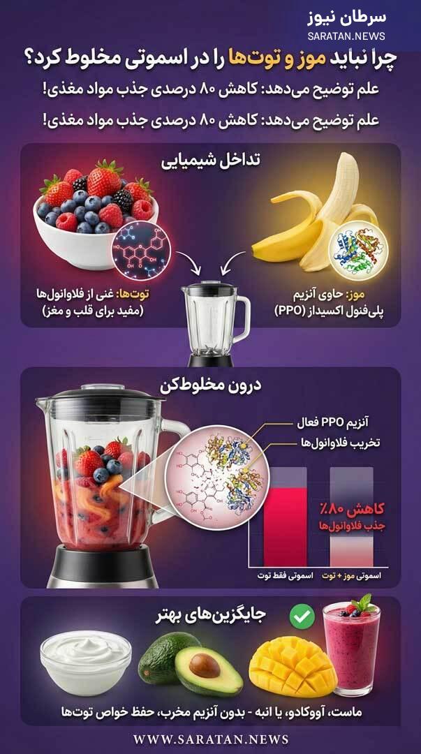 اشتباه بزرگ در اسموتی صبحگاهی: چرا هرگز نباید موز و توتها را با هم مخلوط کنید؟ اشتباه بزرگ در اسموتی صبحگاهی: چرا هرگز نباید موز و توتها را با هم مخلوط کنید؟