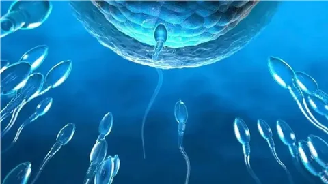کنترل بارداری با سوئیچ مولکولی پنهان در اسپرم