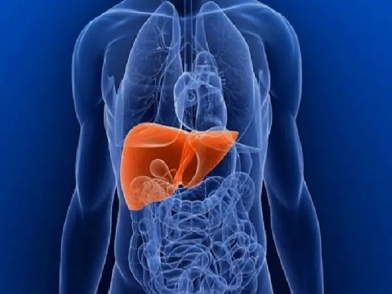 شناسایی مسیر‌های پیام رسانی سلول‌های سرطانی کبد توسط محققان کشور