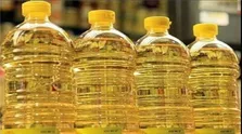 بهبود ۷۰ درصد بیماری‌ها با دانه کنجد