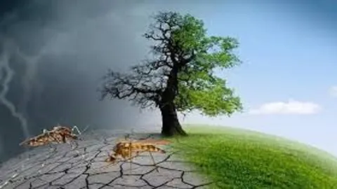 وقتی تغییرات اقلیمی نفس‌مان را می‌گیرد