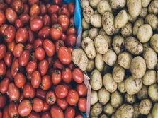 تغذیه بیماران سرطان خون چگونه باید باشد؟