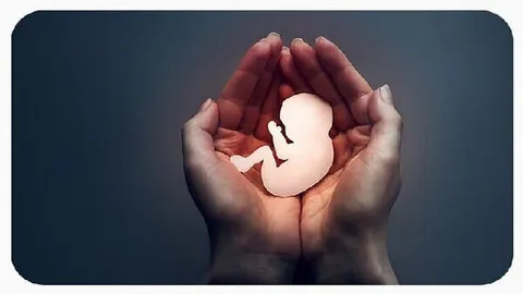 چه عواملی باعث سقط جنین می‌شود؟