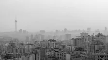 سالانه یک میلیون ایرانی در حوادث ترافیکی بستری می‌شوند