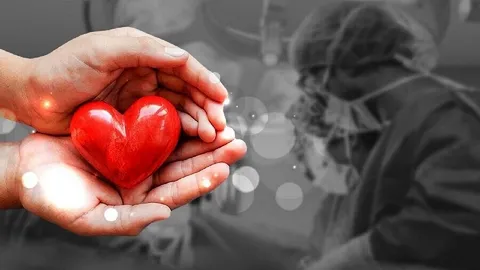 مرگ مغزی پایان نیست؛ آغاز ۸ زندگی تازه است