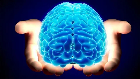 چگونه مغز سالمی داشته باشیم؟