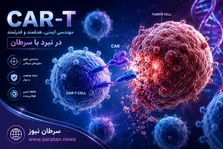 درمان سرطان کبد کودکان با CAR-T؛ پاسخ کامل یک کودک مبتلا به هپاتوبلاستوما